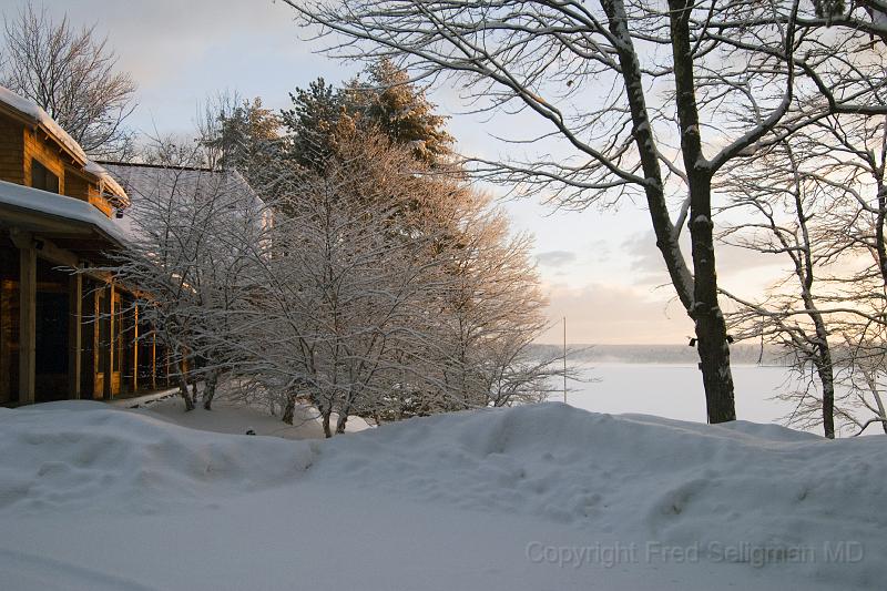 20071228_093425 D2X F.jpg - Winter landscape, Happy Tails, Bridgton, Maine